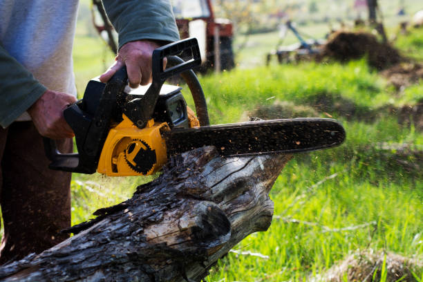 Best Tree Mulching  in Warm Springs, OR